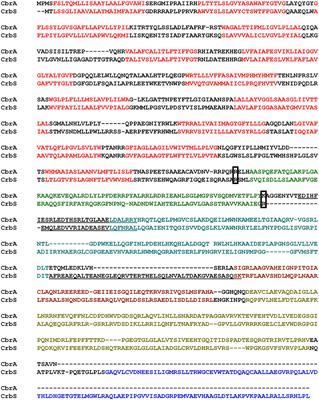 Characterization of the CrbS/R Two-Component System in Pseudomonas fluorescens Reveals a New Set of Genes under Its Control and a DNA Motif Required for CrbR-Mediated Transcriptional Activation